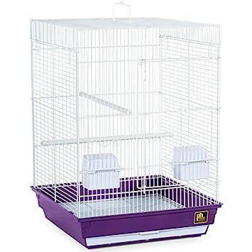 Economy Bird Cage (B002FYPS8S)
