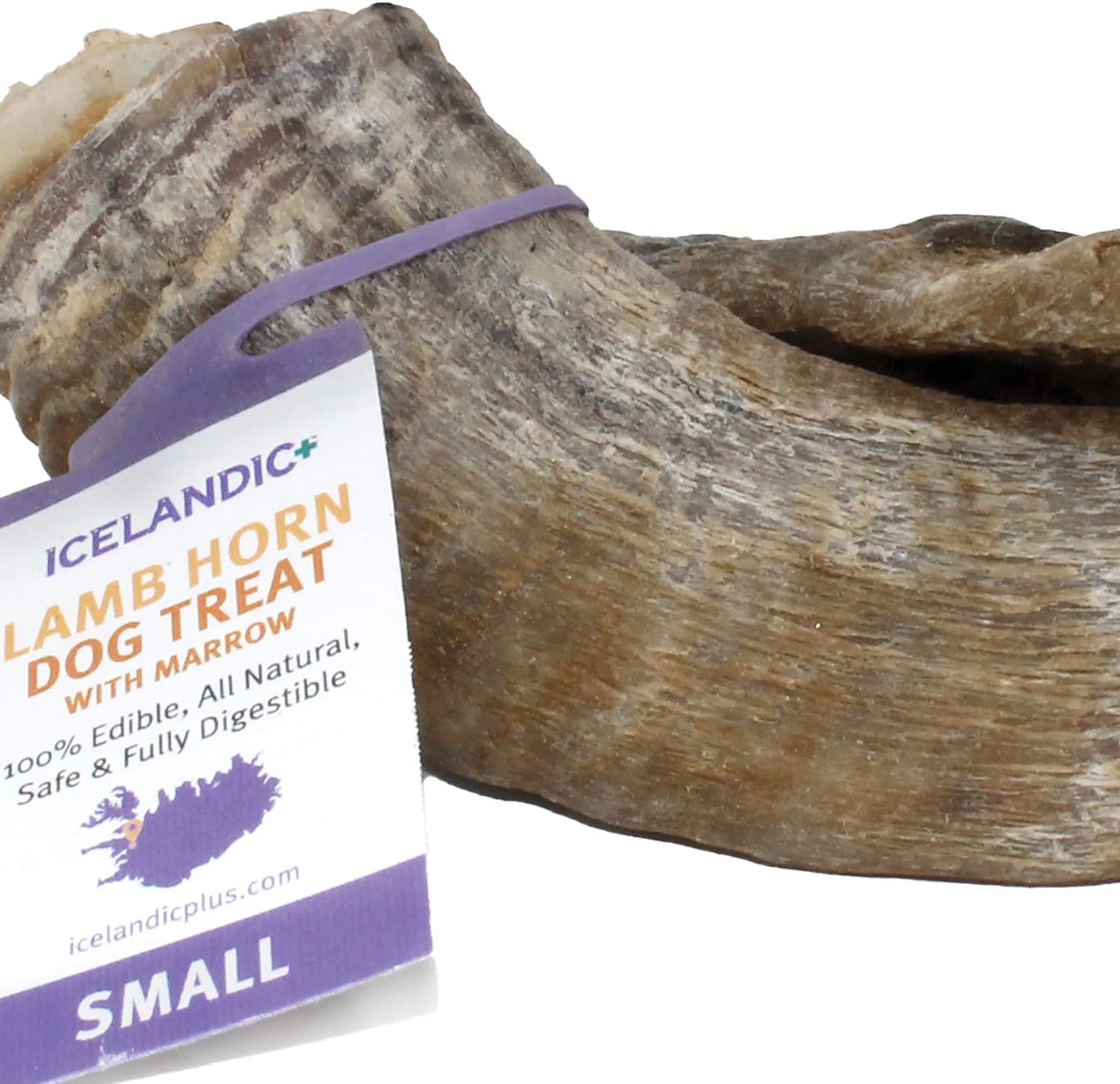 Icelandic Lamb Horn