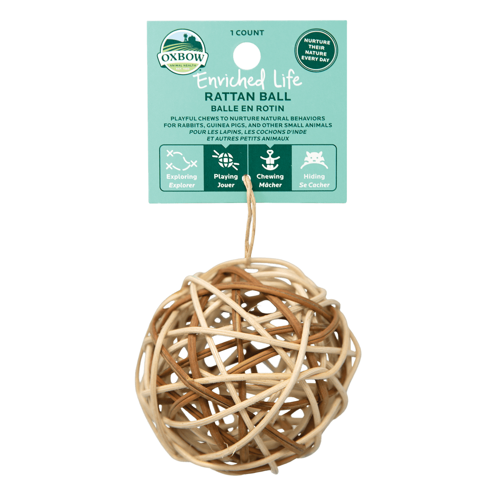 ENRICHED LIFE – RATTAN BALL