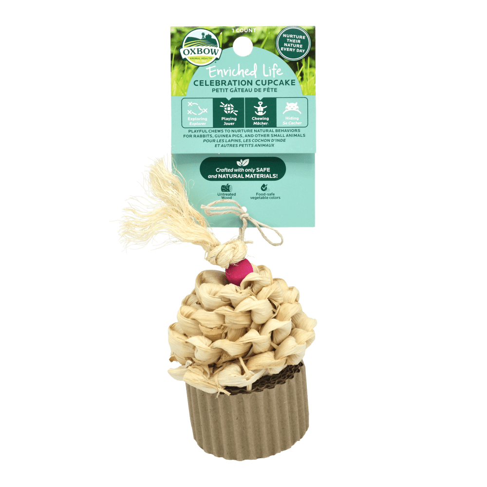ENRICHED LIFE – CELEBRATION CUPCAKE