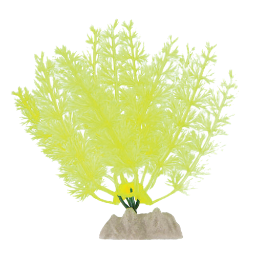 Glow Fish Plantlg Yellow