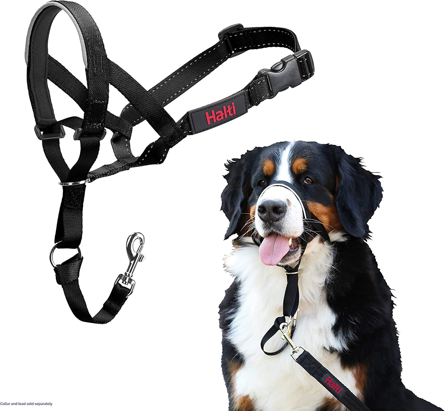 Halti Headcollar #4