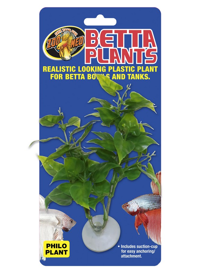 Zoo Med Philo Plant