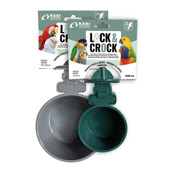 Lock & Crock Durable Food & Water Dish by Hagen Hari Large