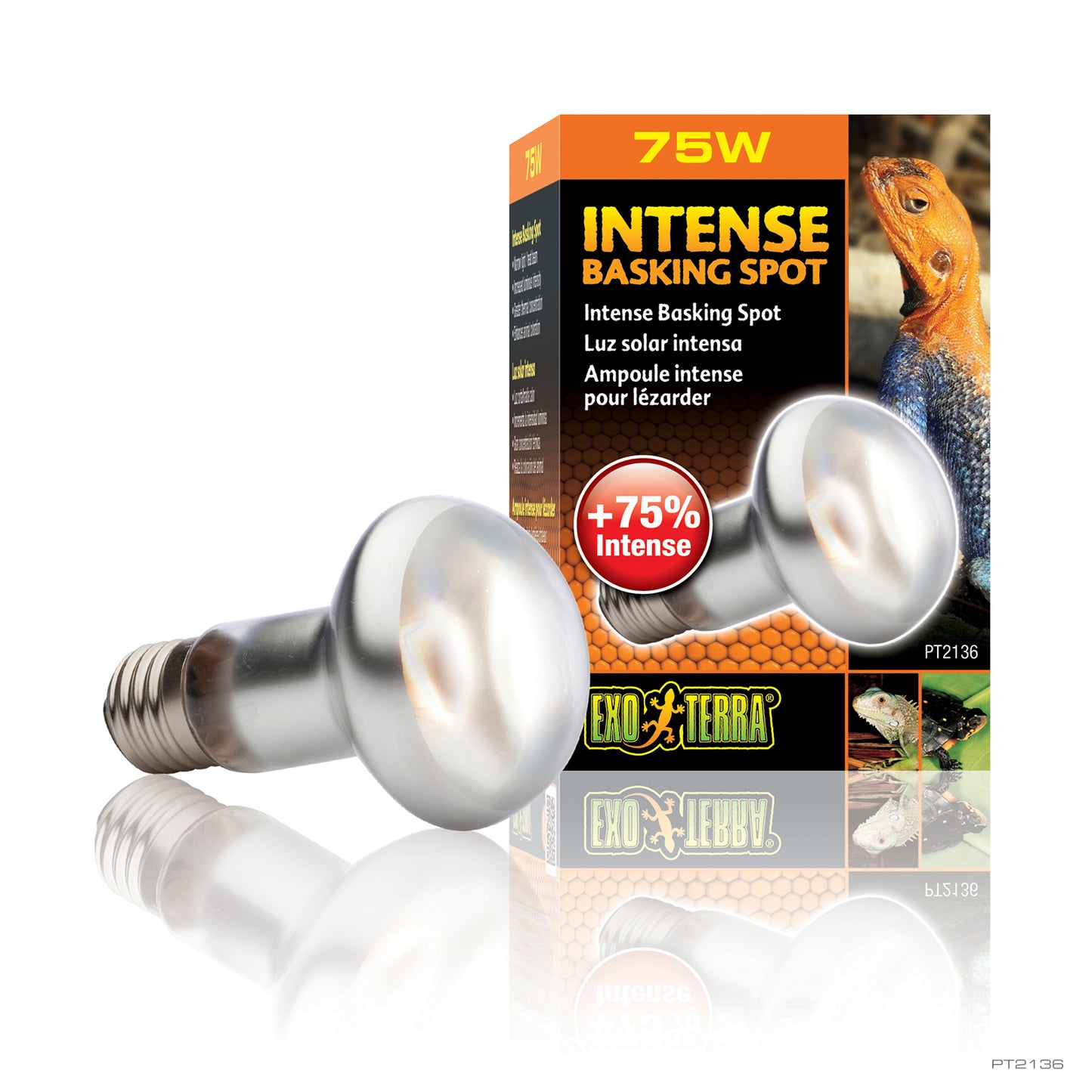 Exo Terra Intense Basking Spot Lamp 75w