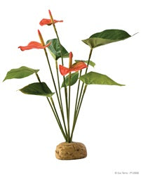 Exo Terra Rainforest Plant Anthurium Bush