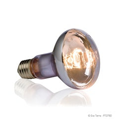 Exo Terra Swamp Glo Basking Spot Bulb 75W