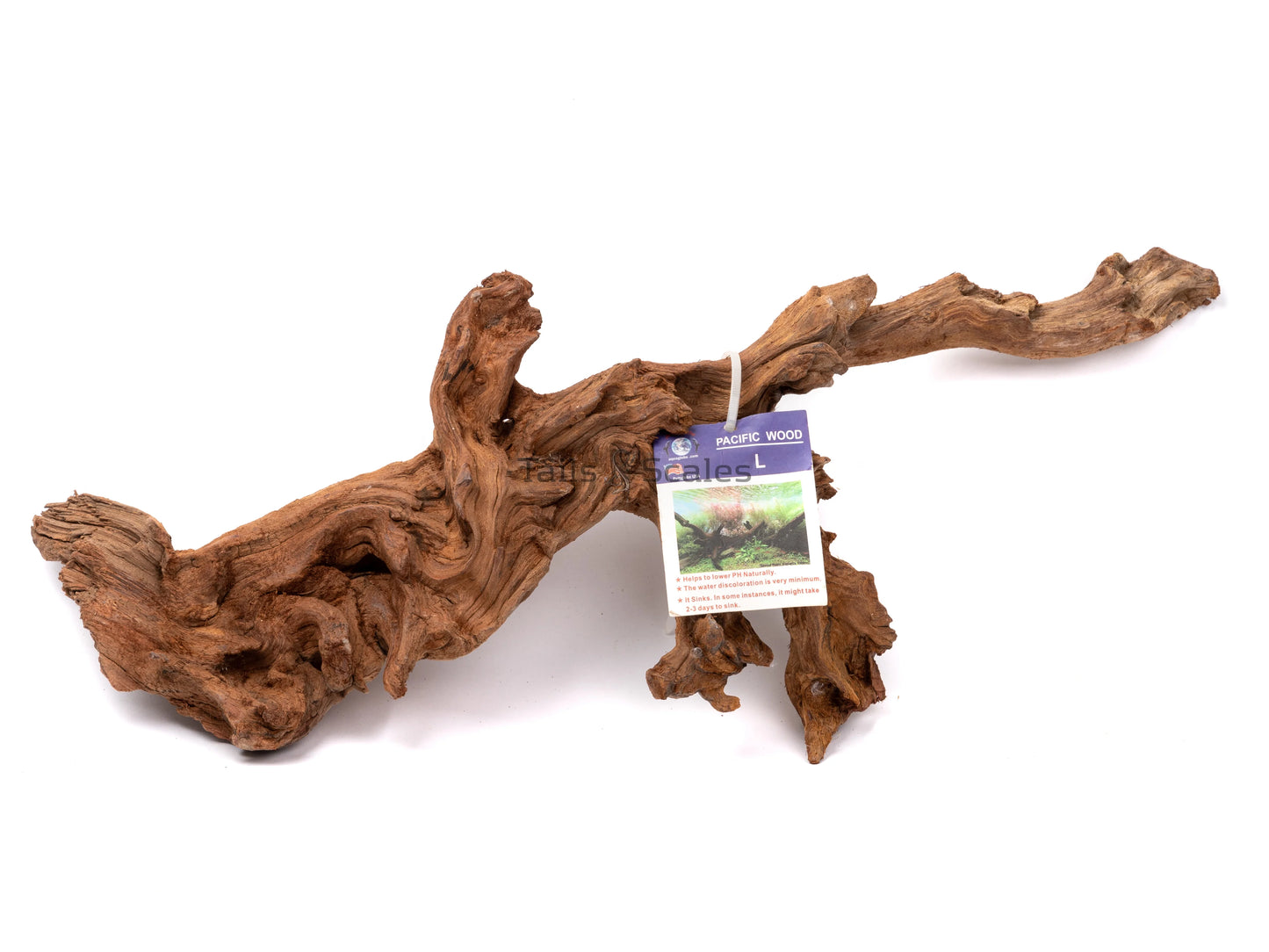 Caspian Pacific Wood