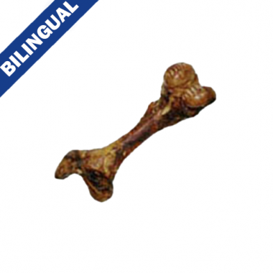 Dog Bites® Giant Femur Dog Treat (4/Case)