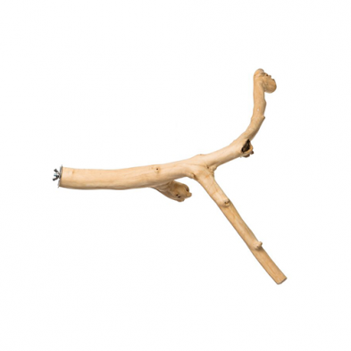 Prevue Hendryx™ Coffea Wood Bird Perches "Y" 24"