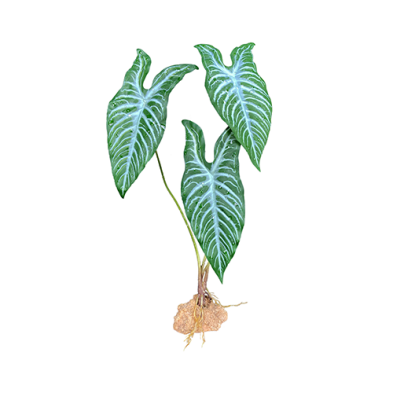 Komodo® White Vein Standing Plant Decoration