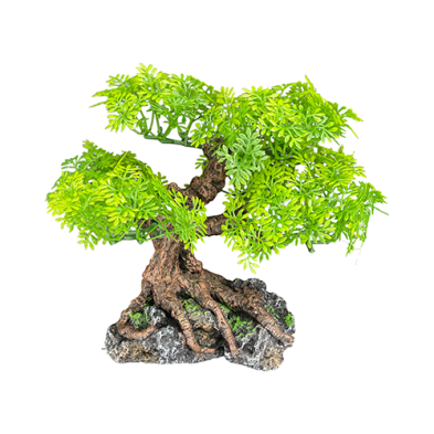 Komodo® Bonsai Tree Standard Small Plant Decoration