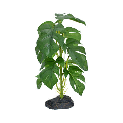 Komodo® Standing Monstera 10" Decorative Plant