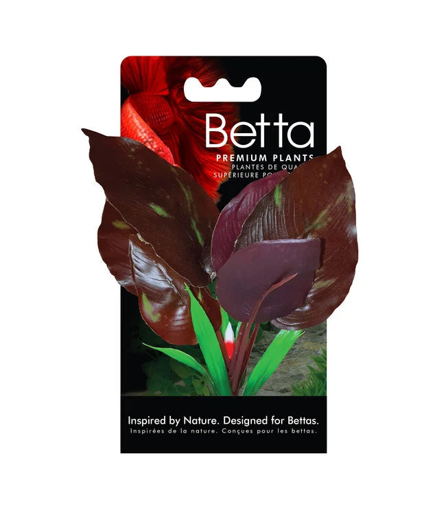 Fluval Betta Premium Red Lizard Plant