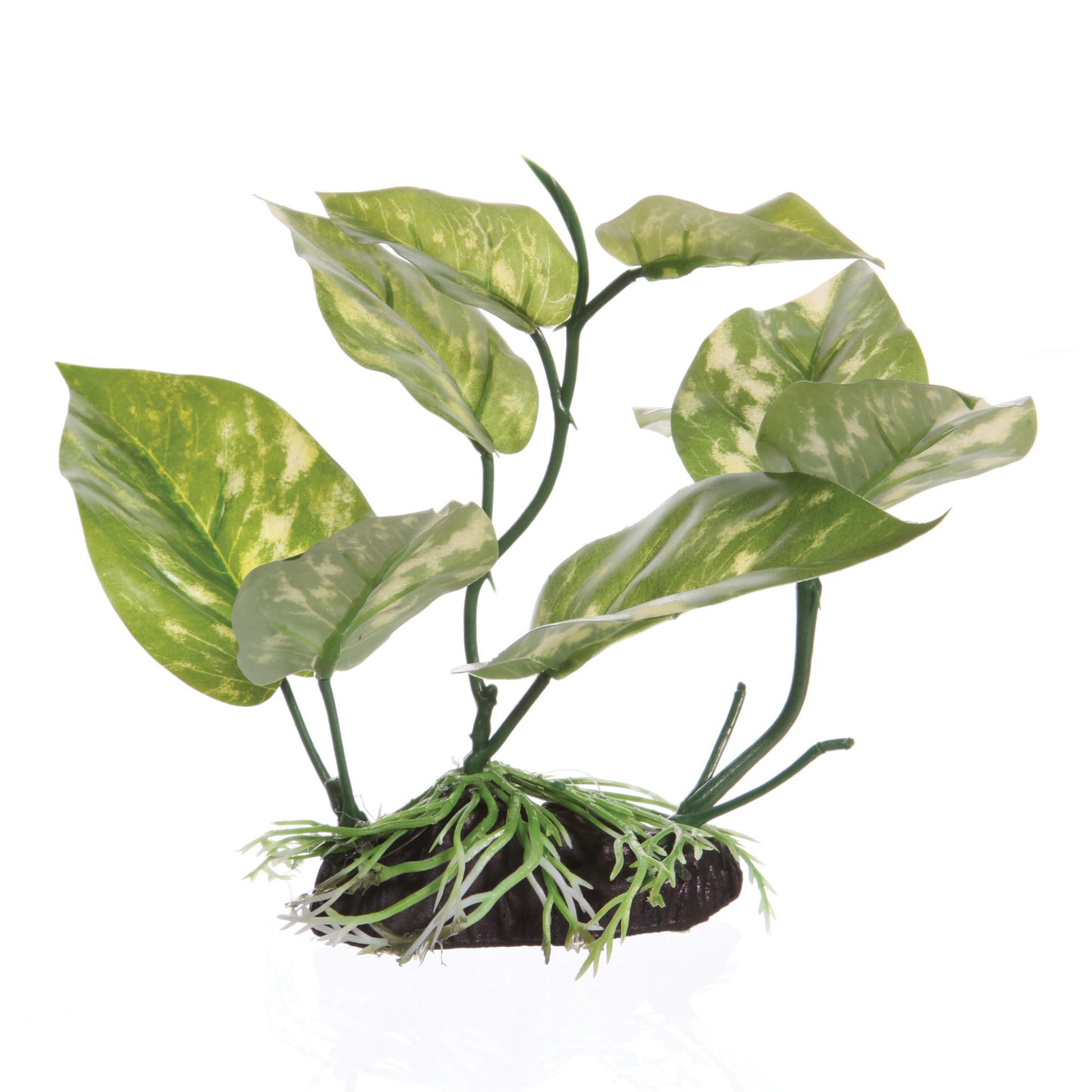 Fluval Lizzard Tail Plant