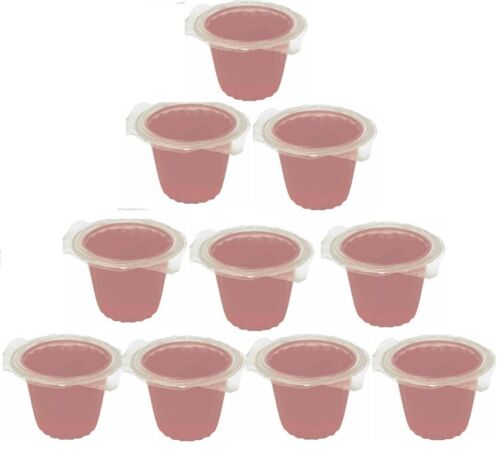 Komodo Fruit Jelly Pot Reptile Bird Beetle Cricket Insect Food