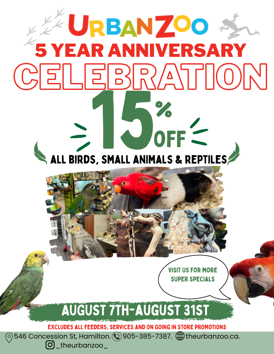 Celebrate 5 Years of The Urban Zoo with Our Anniversary Sale