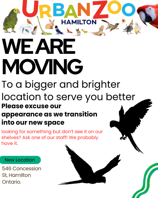 Exciting things are happening at The Urban Zoo! We are moving to a bigger location to serve you better.