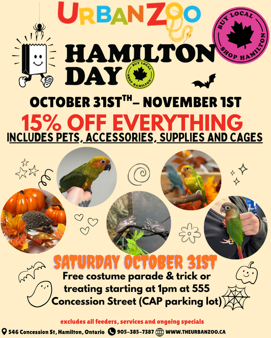 Celebrate Hamilton Day at The Urban Zoo! 15% OFF EVERYTHING