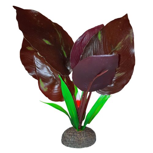 Fluval Betta Premium Red Lizard Plant
