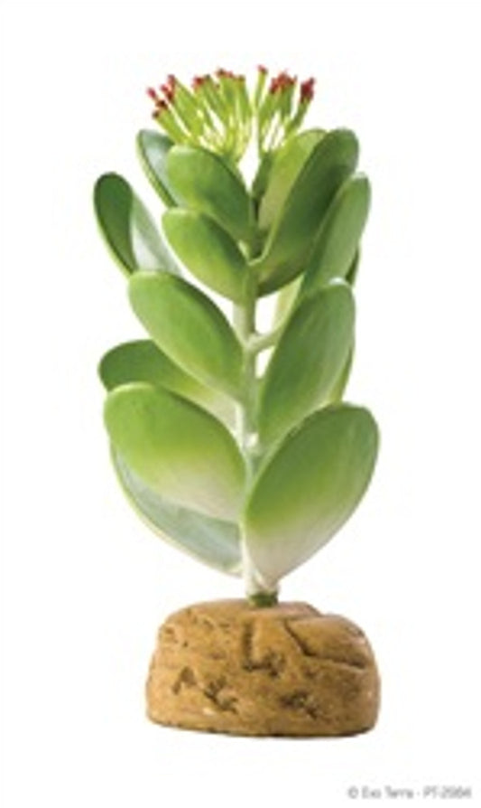 Exo Terra Desert Plant Jade Cactus