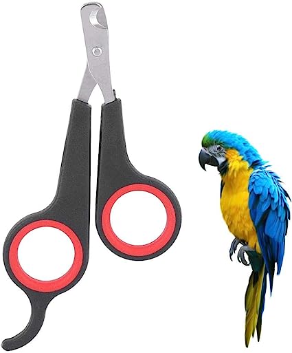 Nail trimming (sm/med bird)