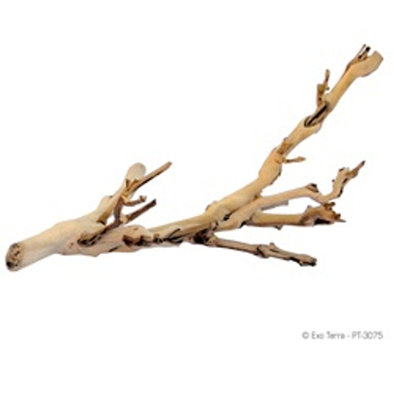 Exo Terra Forest Branch Sandblasted Grapevine Small