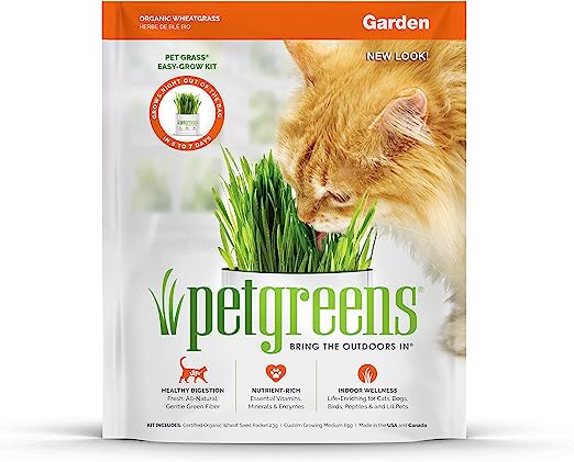 Pet Greens Self-Grow Pet Grass Kit