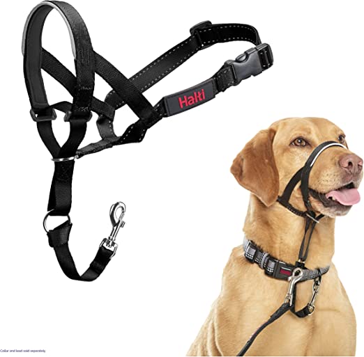 The Company of Animals HALTI Headcollar, Black, 3-Size