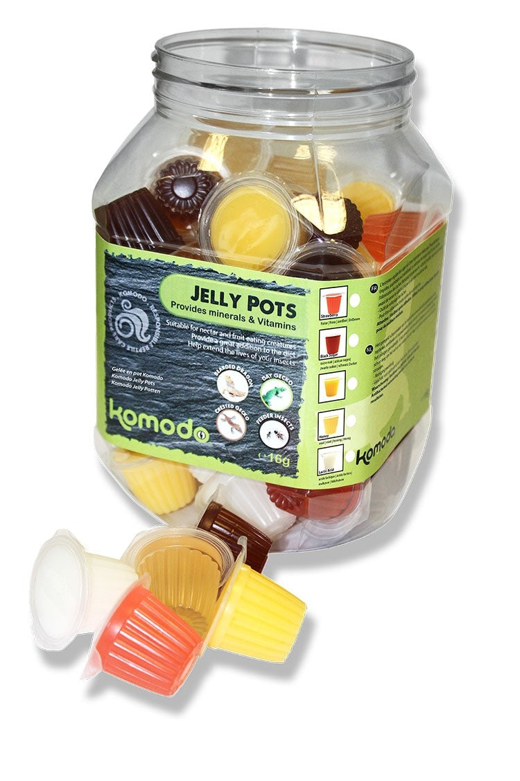 Komodo Jelly Pots Display Jar