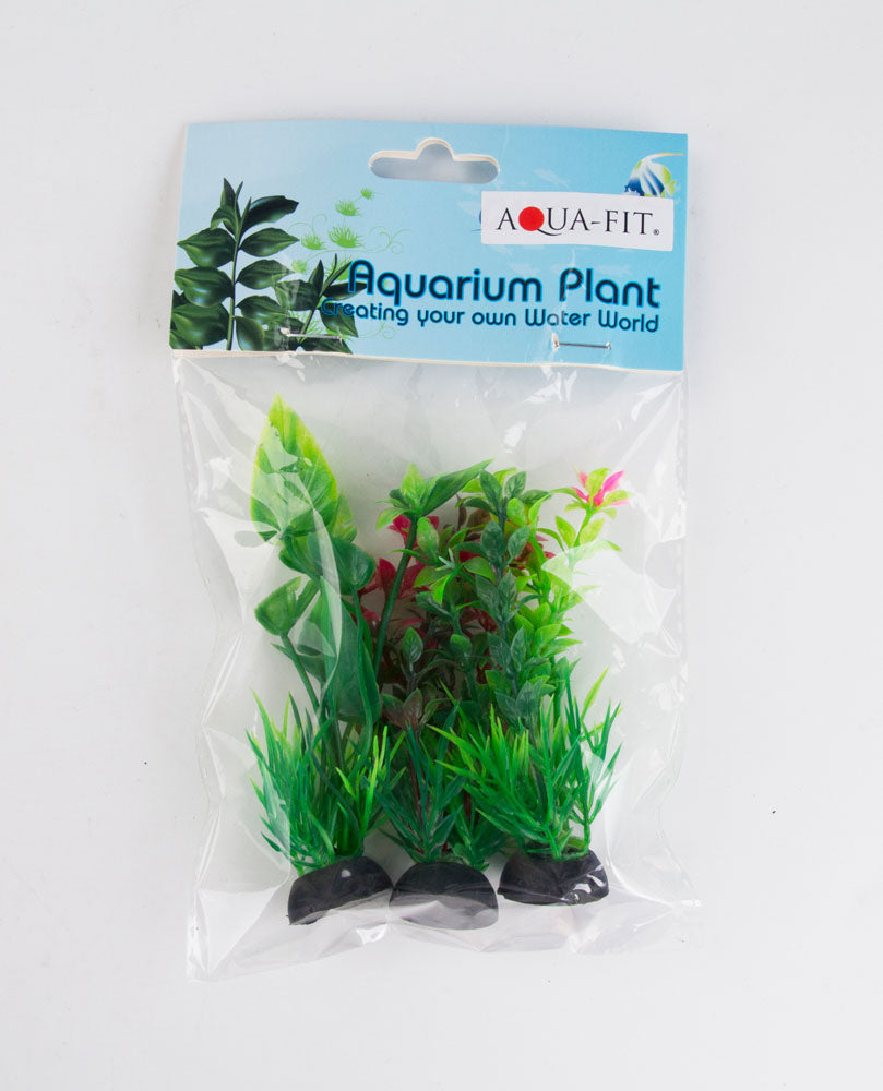 Aqua-fit Assorted Plastic Plant 3pk 3"