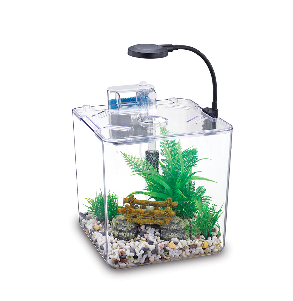 Nubios Desktop Betta Bowl-Square