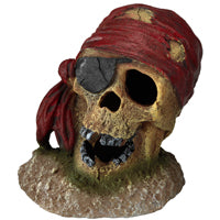 aqua delta pirate skull