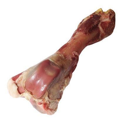 Charcuterie by Dogit Prosciutto Bone for Dogs - Large
