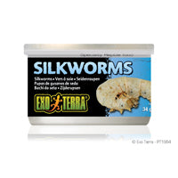 Exo Terra Silkworms (Pupea) - 34 g (1.2 oz)