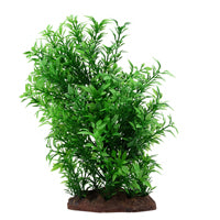 Plant Scapes Small Helzine Plant - 20 cm (8 in)