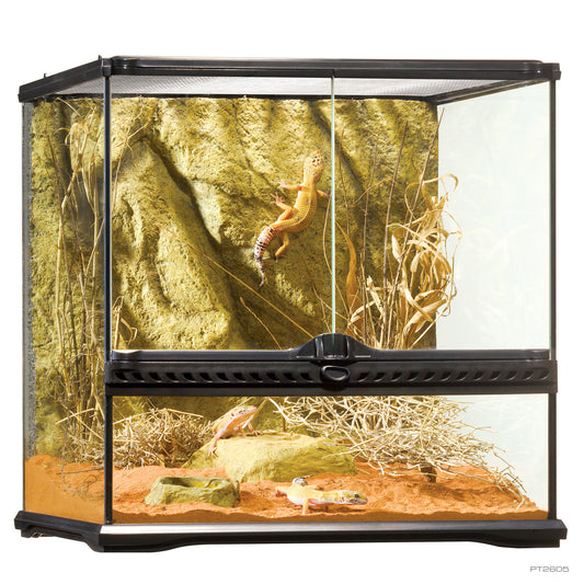 Exo Terra Small Wide Terrarium