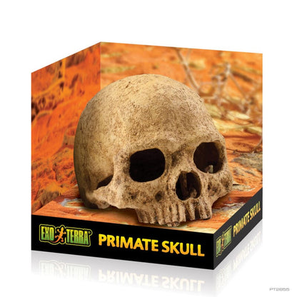 Exo Terra Primate Skull decoration