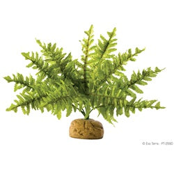 Exo Terra Rainforest Plant Boston Fern Small