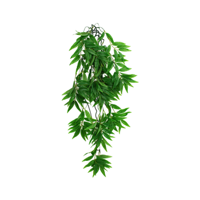 Komodo® Bamboo Climbing Plant Large 24" Plant Decoration