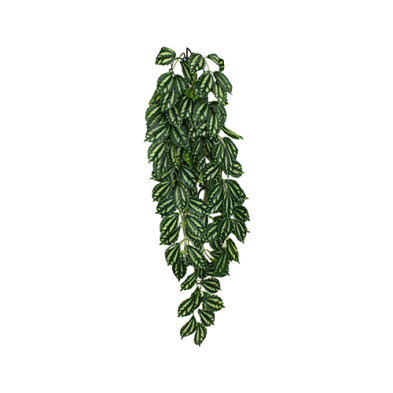 Komodo® Two-Tone Leaf Climbing Plant Large 24" Plant Decoration