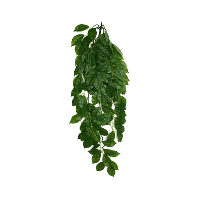 Komodo® Green Leaf Climbing Plant Large 24" Plant Decoration