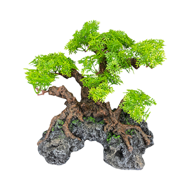 Komodo® Bonsai Tree with Hide Large Plant Decoration
