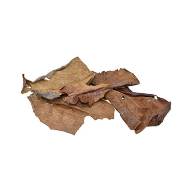 Komodo® Dried Oak Leaves Bag 3oz