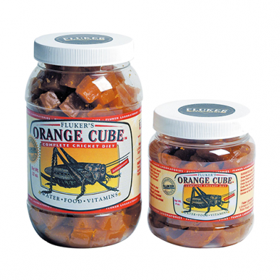 Orange Cube Cricket Diet 12oz