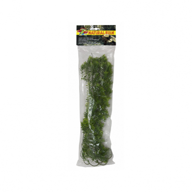 Zoo Med™ Natural Bush™ Plants Borneo Star Large