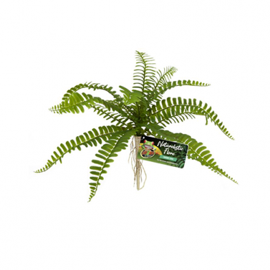 Zoo Med™ Naturalistic Flora™ Sword Fern