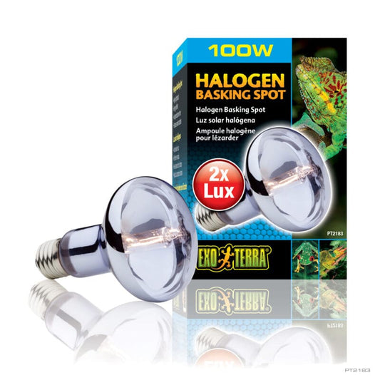 Halogen 100W Basking Spot